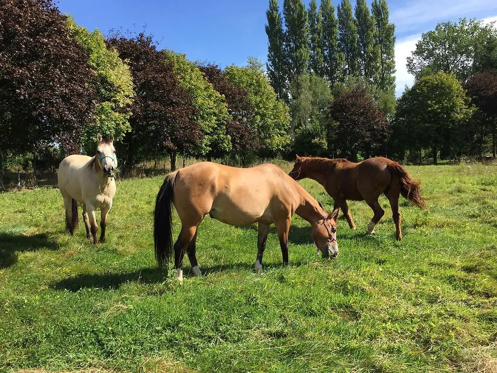 Chambres D'Hotes Au Clos Du Lit Lamballe 3*,  France