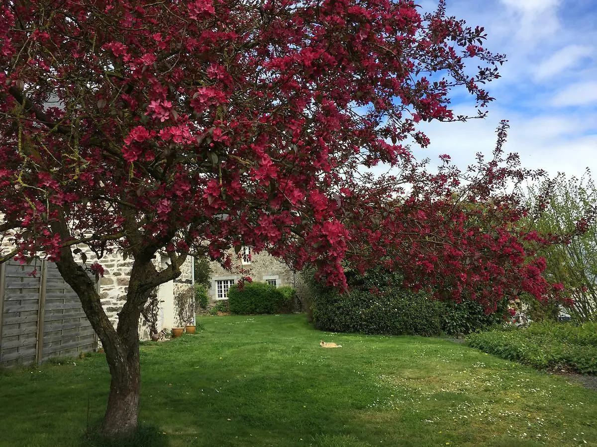 Chambres D'Hotes Au Clos Du Lit Lamballe Bed & Breakfast